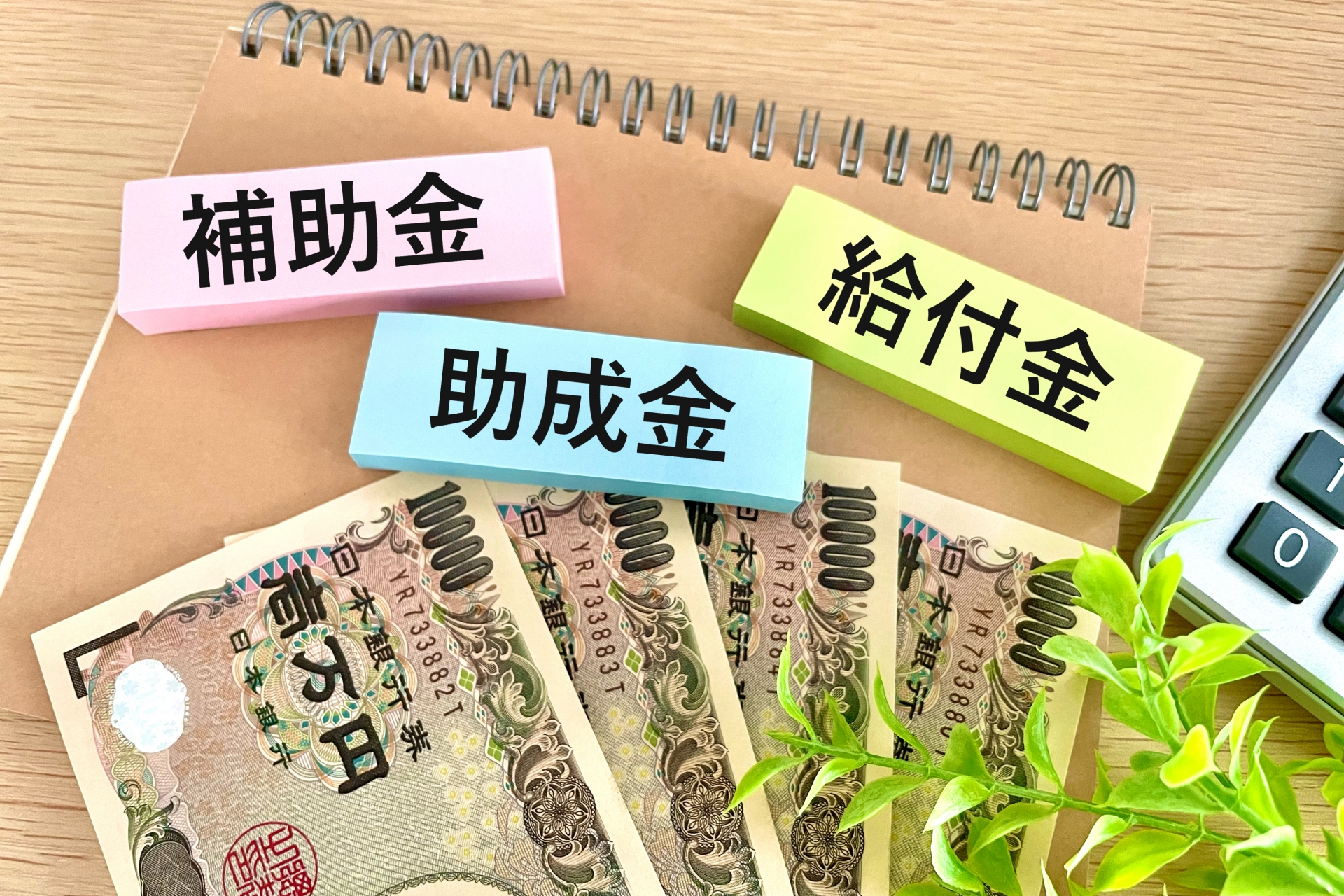 補助金と助成金・給付金・融資の違いは？